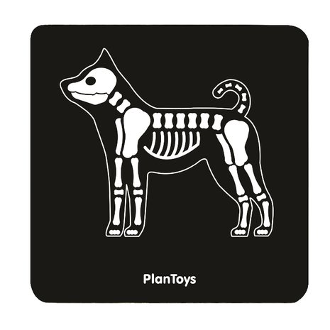 Plan-Toys-dierenarts-vet-set-x-ray